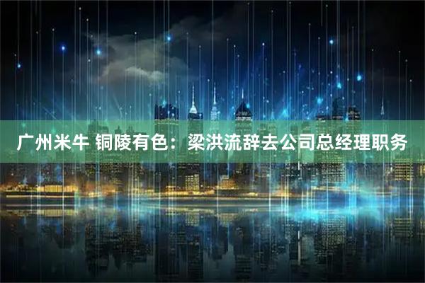 广州米牛 铜陵有色：梁洪流辞去公司总经理职务