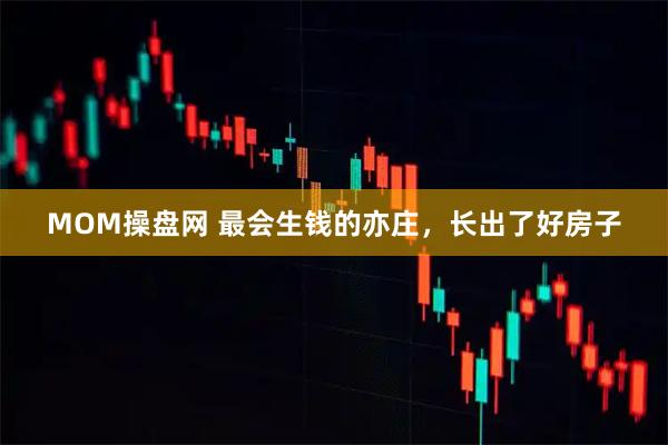 MOM操盘网 最会生钱的亦庄，长出了好房子