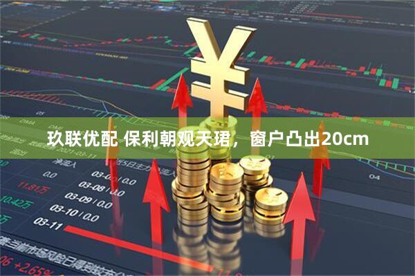 玖联优配 保利朝观天珺，窗户凸出20cm