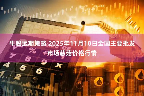牛股远期策略 2025年11月10日全国主要批发市场慈菇价格行情